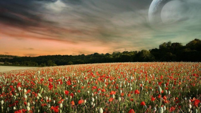 国内这么多码农，为什么出不来JetBrains, MathWorks这样的公司？